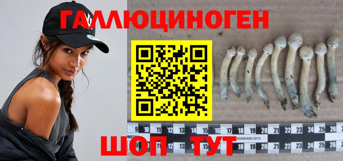 Псилоцибиновые грибы Psilocybine cubensis  Вход с VPN  Щёлково 